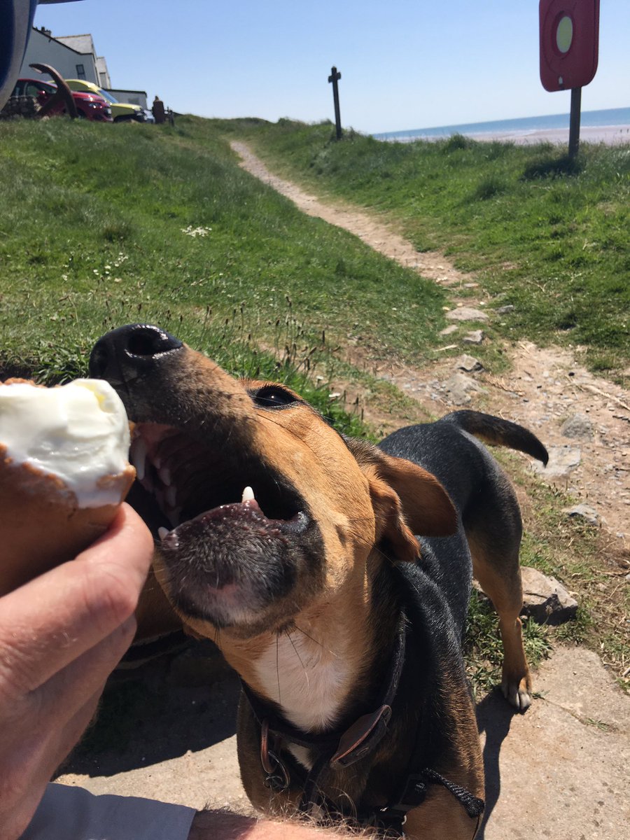 JasperofHaworth's tweet photo. @foodmixer sorry! Here I am back again #haworth #beenonholiday https://t.co/pgheQ26OQN