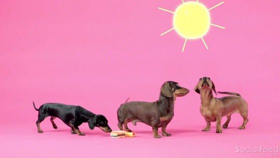 dropthehouse tweet media