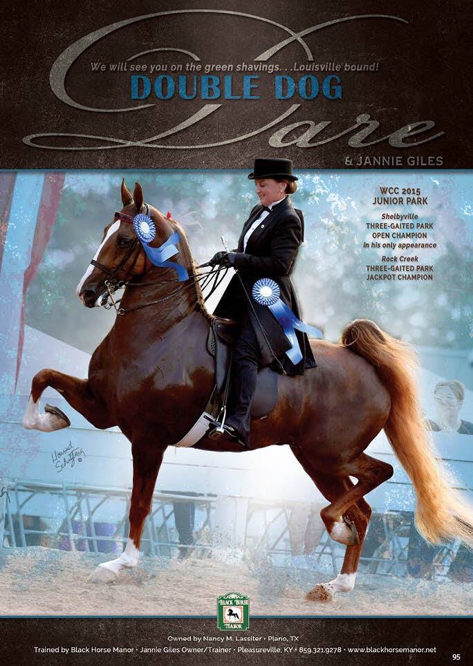 RealShowHorse's tweet photo. See you there @kystatefair https://t.co/BGXEbzLOwl