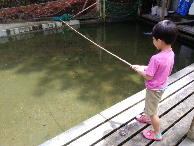東京都内の釣り堀おすすめランキング12 初心者も子供も楽しめる場所から厳選 Kurashi No