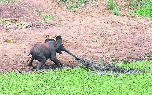 OneKitonsa's tweet image. This is what happens when you keep poking your nose in other people's business!