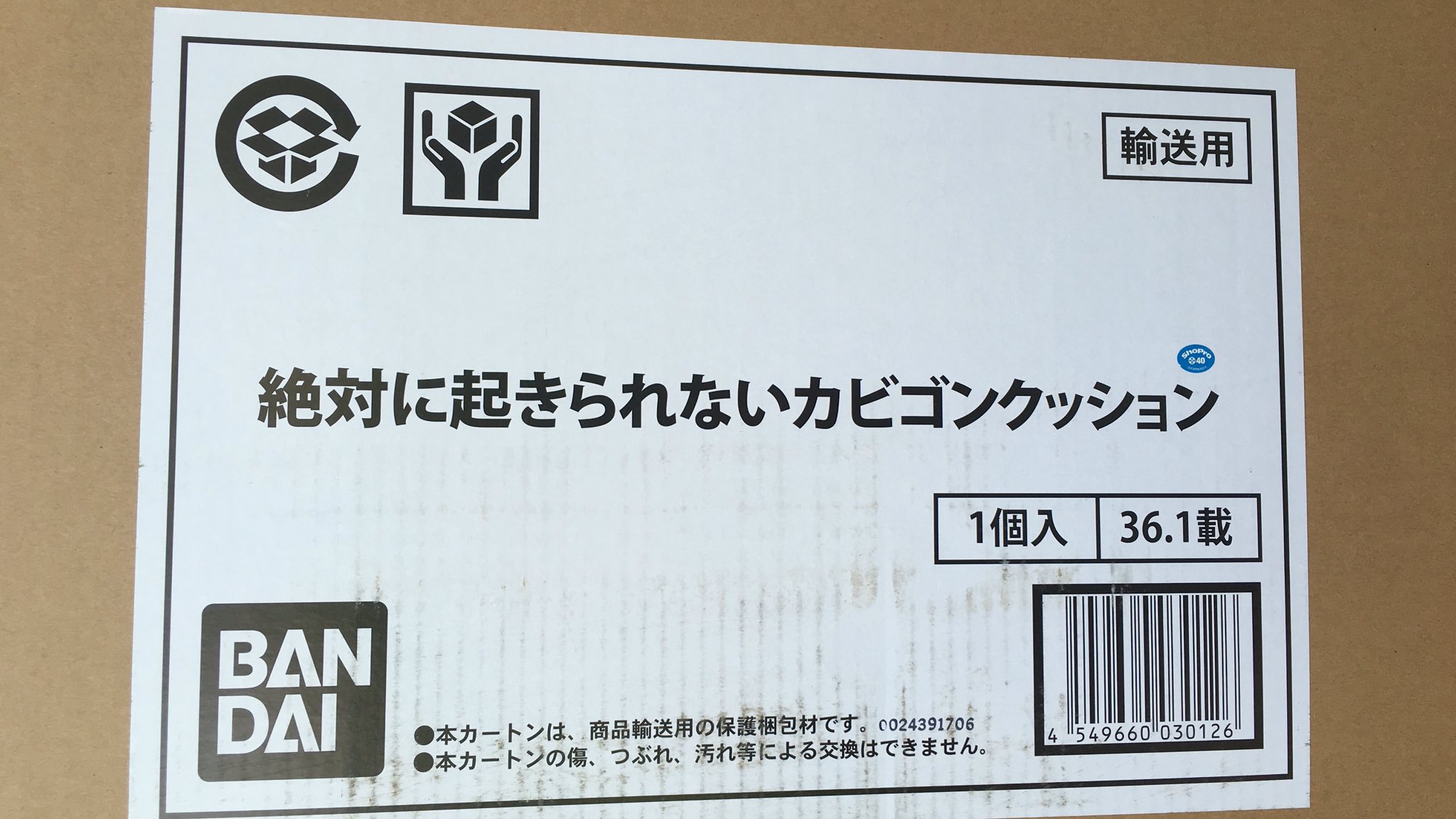 ぷにチコ 悲報 絶対に起きられないカビゴンクッション 玄関を通過できない T Co Fbx4skjsrw Twitter