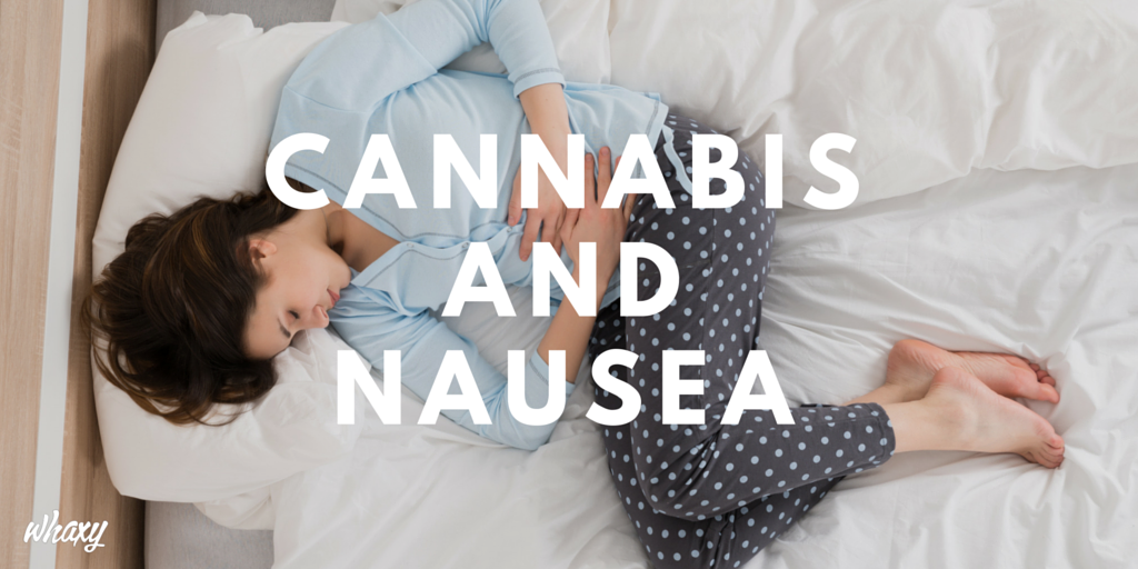ThinkTankExile's tweet photo. Patients and Researchers Agree - #Cannabis Defeats Nausea https://t.co/qcGu7piZuH https://t.co/i6zxgdRI7L