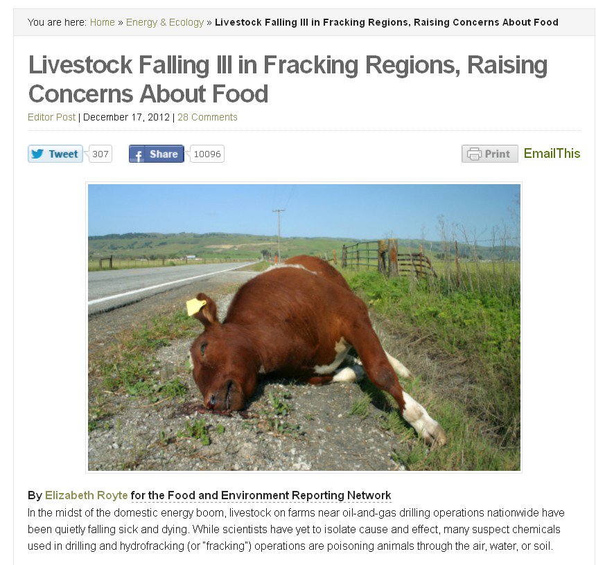 Jedi4Revolution's tweet photo. @kadyalexis i agree. Speaking of livestock &amp; Hillary's record of selling #Fracking 2 the world...  #FrackOffHillary https://t.co/V9oEWRyNR5