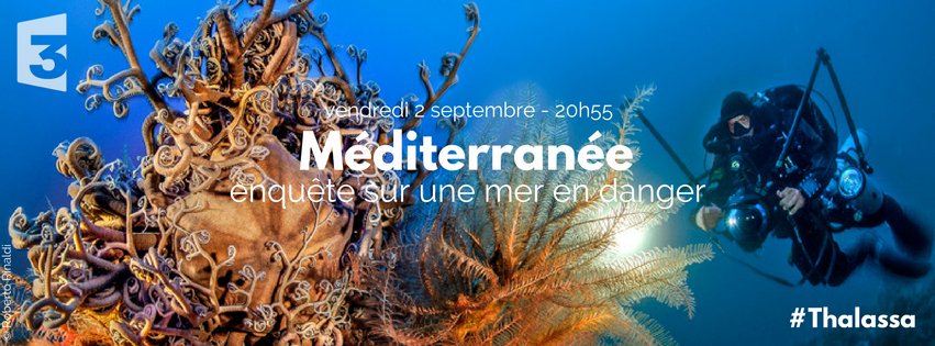 Thalassa aventures extrêmes tweet media