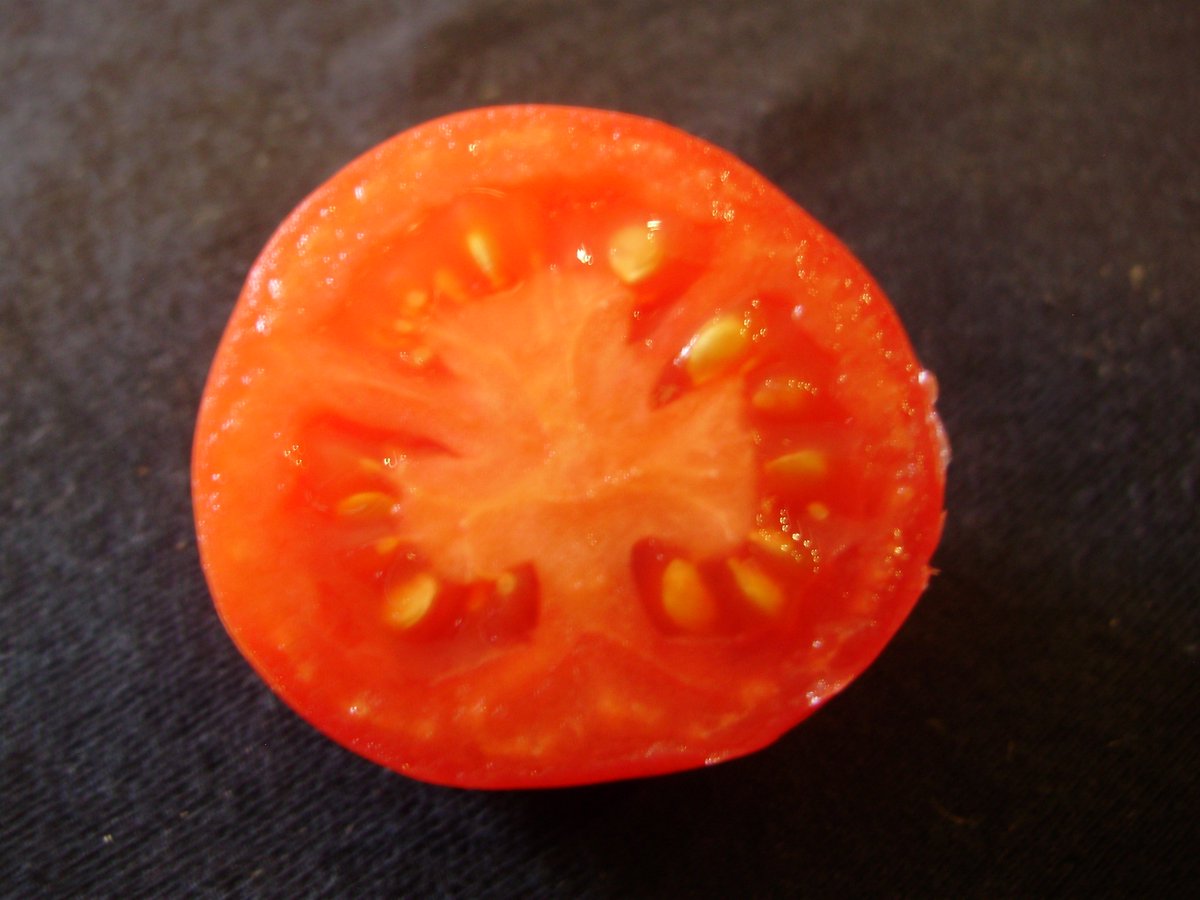 nickykylegarden's tweet image. #ATomatoADay Porter - a medium classic type with a sweet, rich taste. New to me, will grow again. #organic #peatfree