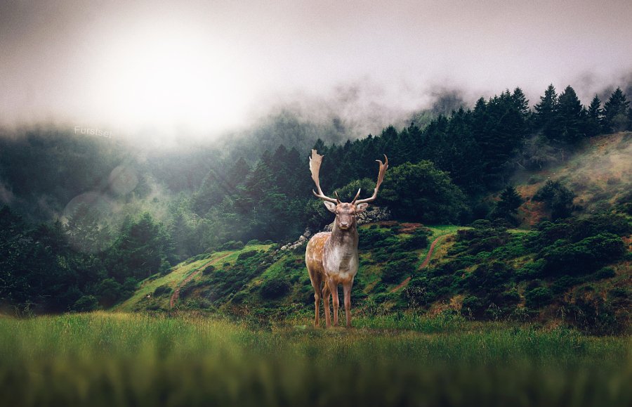 AbhishekG001's tweet image. Stay by Furstset
#photo #photos #pic #pics #TagsForLikes #picture #pictures #snapshot #art #beautiful #instagood