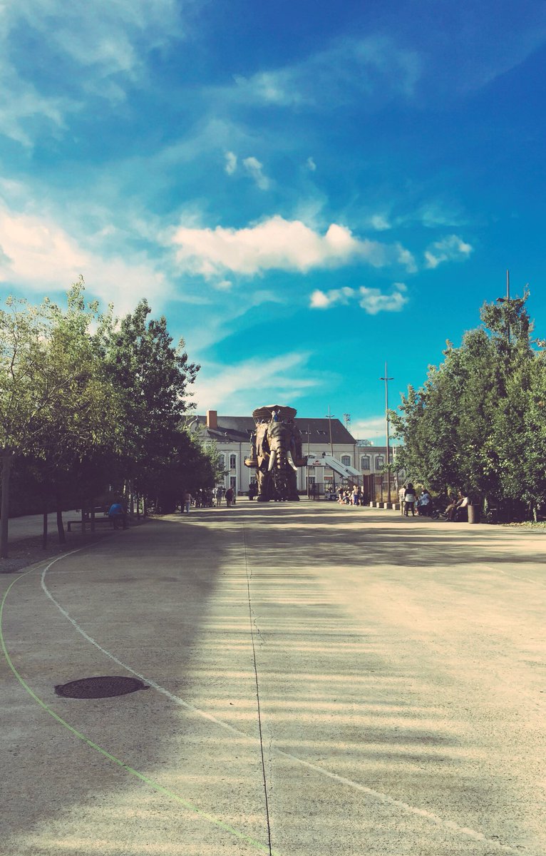 ClaireMaze's tweet photo. Rencontre impromptue au détour des rues de #Nantes @lesMachinesNtes @NantesFr #LVAN #WorldPhotographyDay https://t.co/CDomkSwfQN
