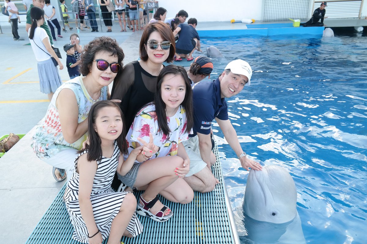 gswdolphins's tweet photo. 여유만만 안방마님이였던 KBS 윤지영 아나운서의 거제씨월드 방문인증샷! #가족사진의정석 https://t.co/Mm1UznR7Xn