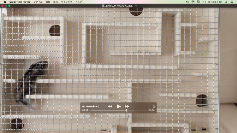 ゆたこ 娘の夏休み工作 ハムちゃん迷路 にも音楽をつけてみました Youtubeにアップしようとしたら 著作権 の問題が せっかく作ったのに残念 使用したかった曲は 娘のリクエストで 天国と地獄 運動会などで流れる曲です ゆたこ 娘の夏休み工作 ハムちゃん迷路 にも音楽をつけてみました Youtubeにアップしようとしたら 著作権 の問題が せっかく作ったのに残念 使用したかった曲は 娘のリクエストで 天国と地獄 運動会などで流れる曲です