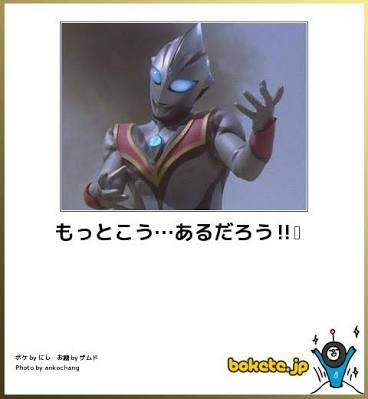 ナデシコですから ナデシコですから