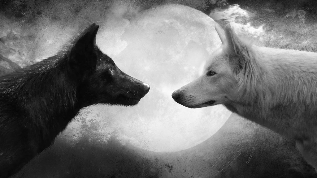 inmwts's tweet photo. The Two Wolves — Life Lessons Series #9 https://t.co/3BdMKaGJEu https://t.co/0Z6cP9FsZJ