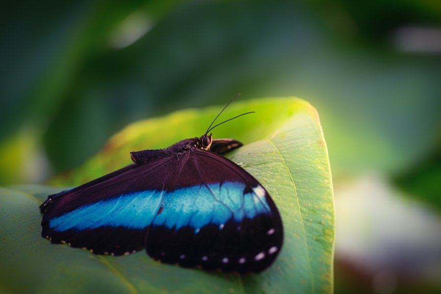 AbhishekG001's tweet image. sunbathing by Nico Kaiser
#photo #photos #pics #TagsForLikes #picture #pictures #snapshot #art #beautiful #instagood