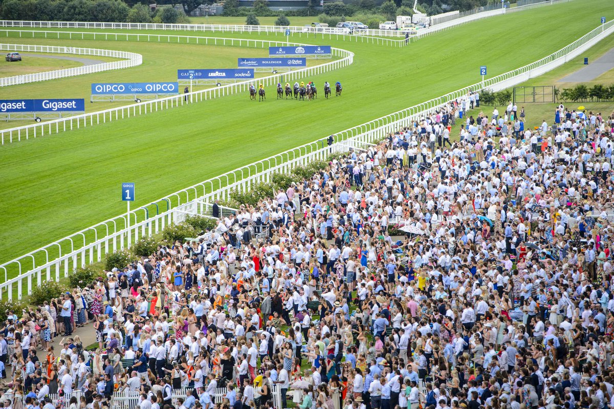 Ascot's tweet photo. British Champions Day at @Ascot looks likely to host the best of the best this year! https://t.co/qRgyzbfBEG https://t.co/EFtMpKrTPZ