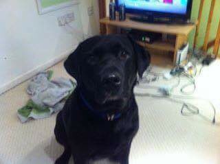 LandersShell300's tweet image. Please help get our jet back to us