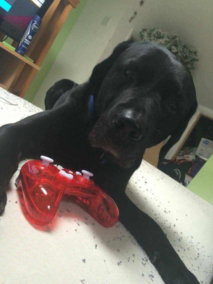 LandersShell300's tweet image. Please help get our jet back to us