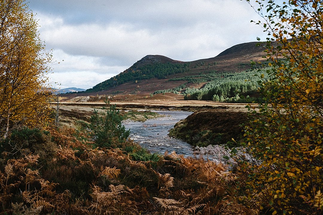 PostHouseTweets's tweet image. So many beautiful places near us but this photo we took at #Glenfeshie is one of our favourites for #WorldPhotoDay
