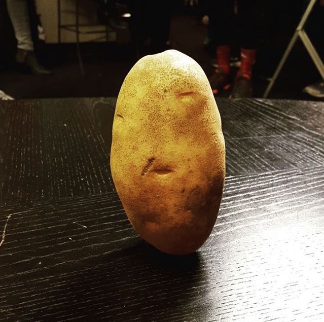 lembrefandom's tweet photo. Lembra directioner do novo membro da 1d, The 1D Potato https://t.co/RhMrrHQAs6