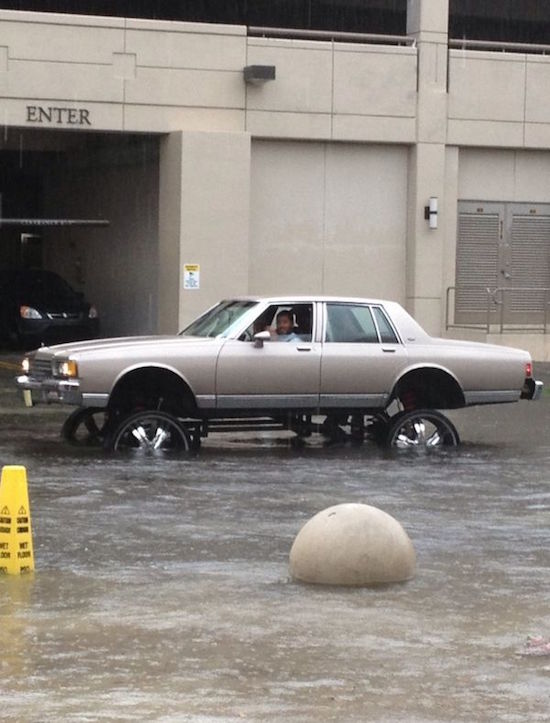 Rowan Horncastle tweet media