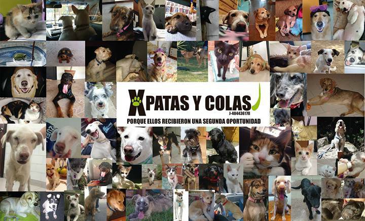 XPatasyColas tweet media