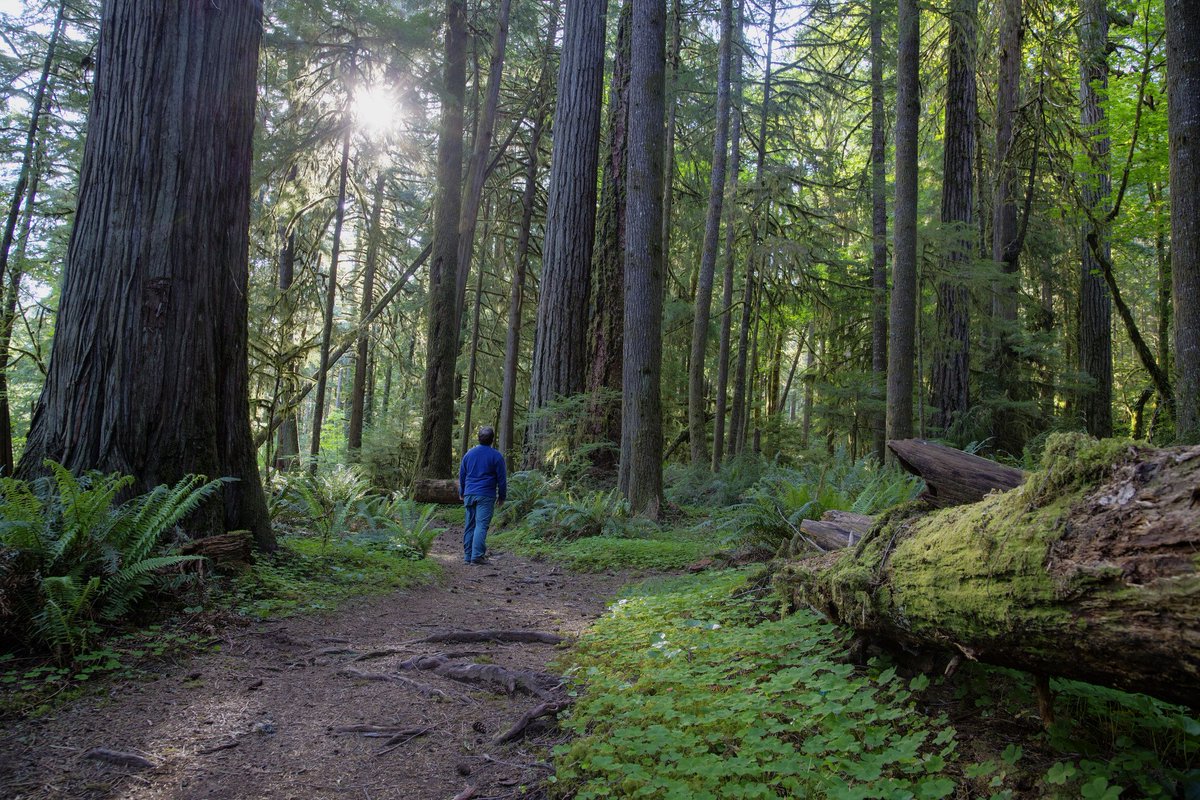 RT If you feel lucky to live in the Pacific Northwest!