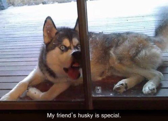 FunnyPicsDepot's tweet photo. if you're having a bad day https://t.co/HqtIc0Zl2j