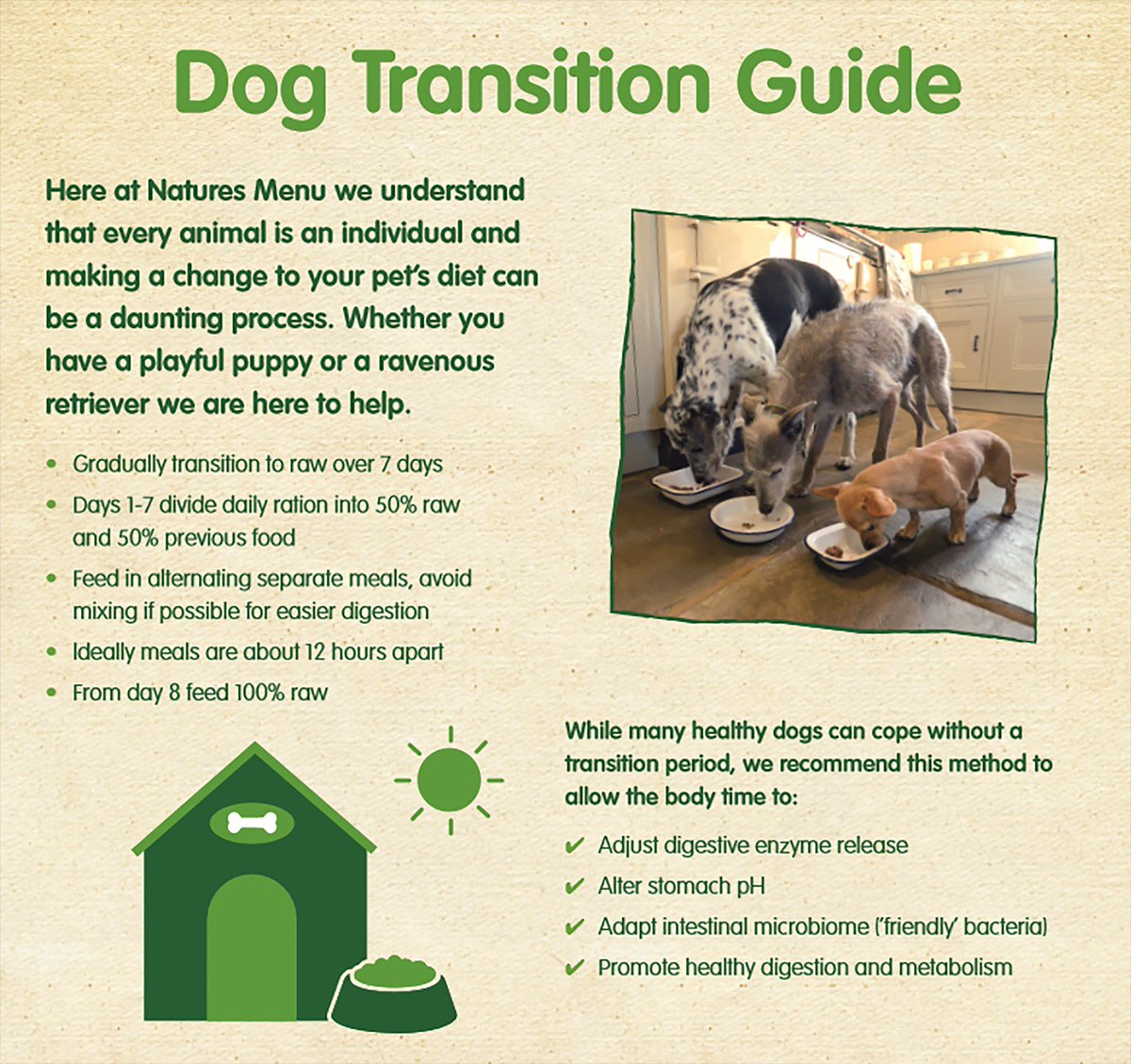 naturesmenu's tweet photo. Thinking of switching to raw? Check out or raw feeding transition guide for dogs. #RawFeeding #Dogs #Healthydog https://t.co/cxhHN6naKa
