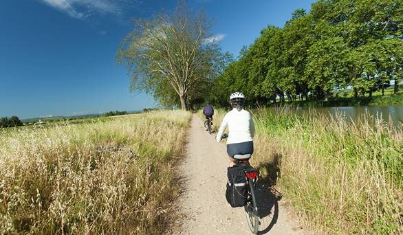 Francemagazine's tweet image. Get your bike out and raise money for Cancer Support France this Sept! Details here &amp;gt; activityforlife.fr