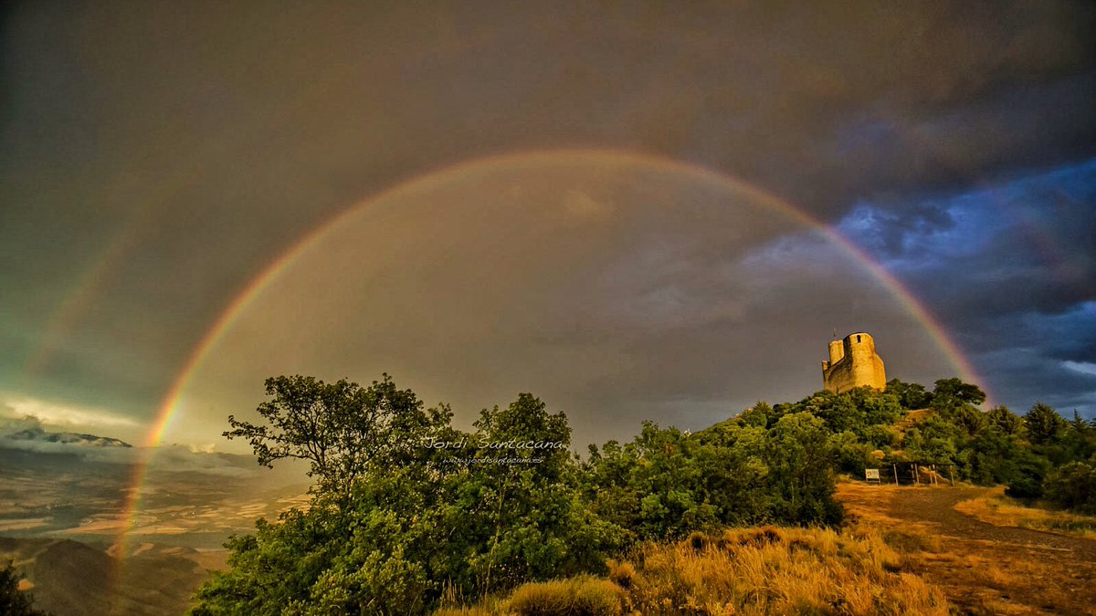 Feliç #DiaInternacionalDeLaFotografia #InternationalPhotographyDay Sense ella aquest record no existiria!