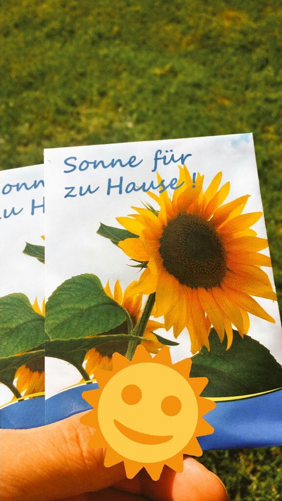 Kleinstadt ♥ Sonnenblumensamen mit Angebot von den Stadtwerken +Bauamt nimmt Freitags 11:58 Uhr noch das Telefon ab!