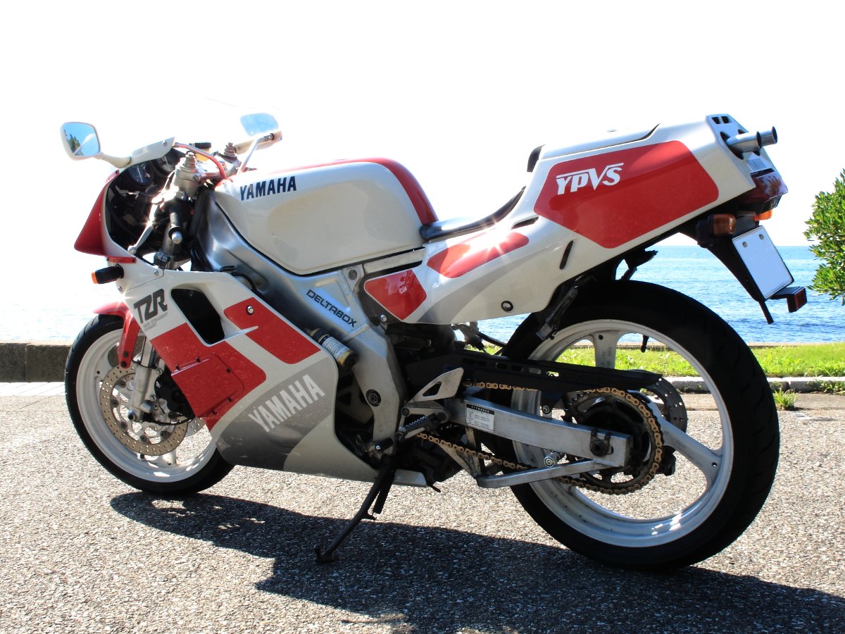 シェイリン (@Shaerine_Fluent) / Posts / X