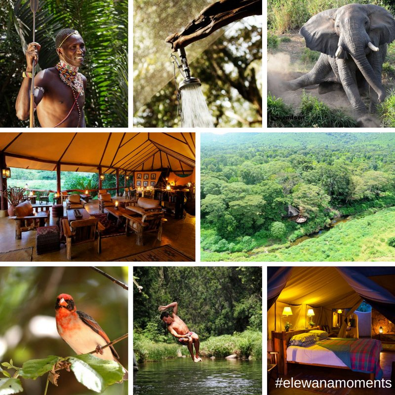 It's #WorldPhotographyDay, we'd love for you to share your favourite #elewanamoments with us!