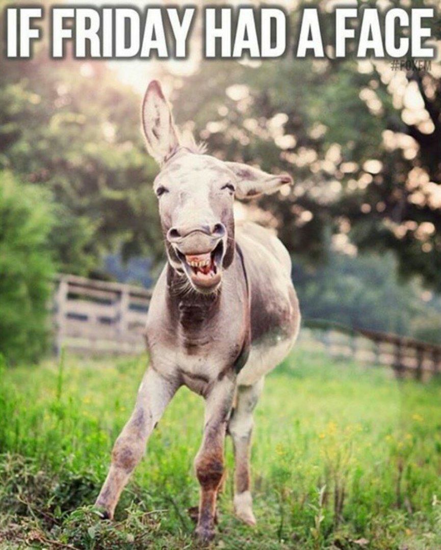 Compramas1's tweet image. ¡Cara de Viernes!  #frasesparalavida #mentepositiva