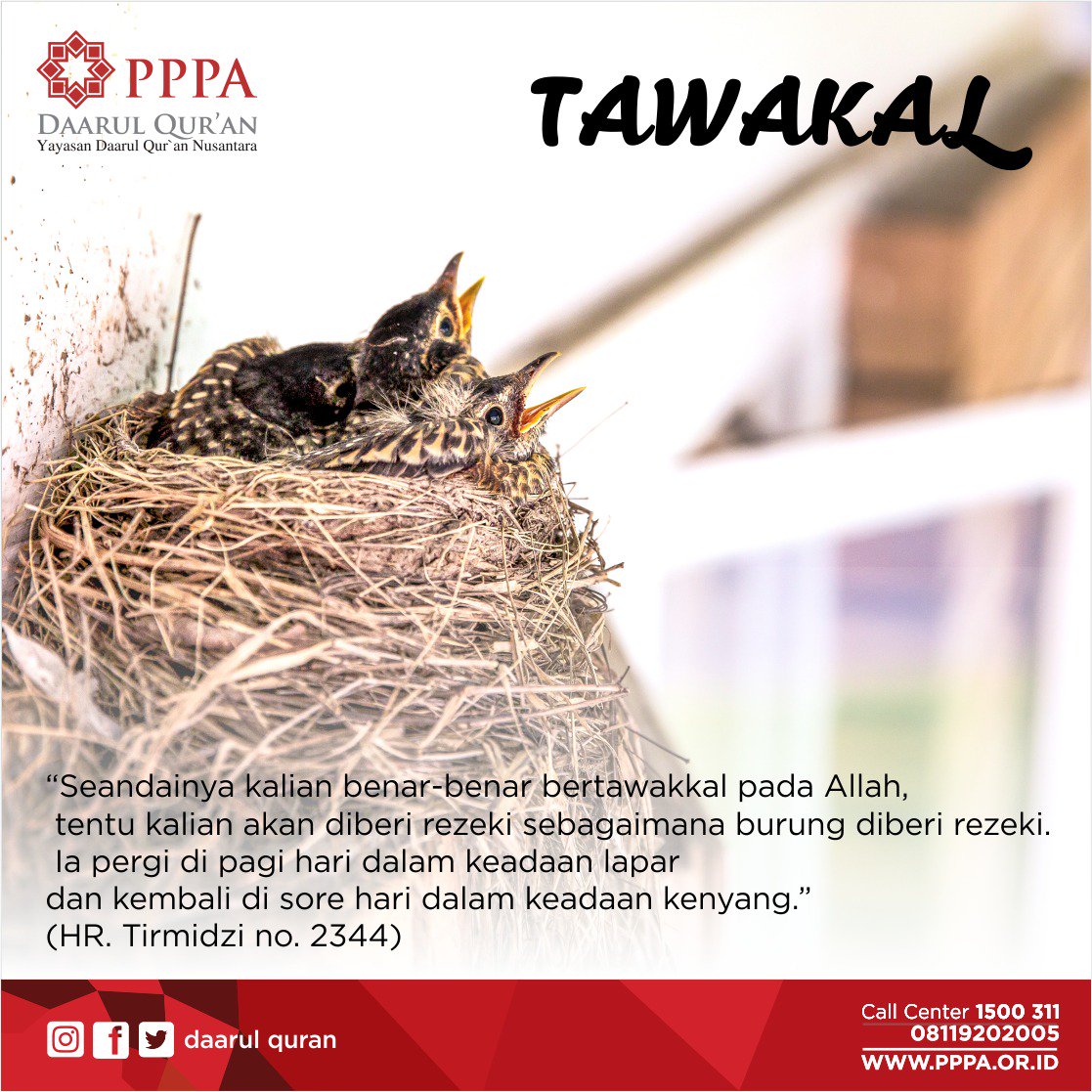 Daarul_Quran's tweet photo. Doa Usaha Ikhtiar Tawakal.
Tidak akan dinamanakan tawakal jika belum ada ikhtiar.
#DoaYuk!
#SedekahAja https://t.co/ZNLV9N9sM9