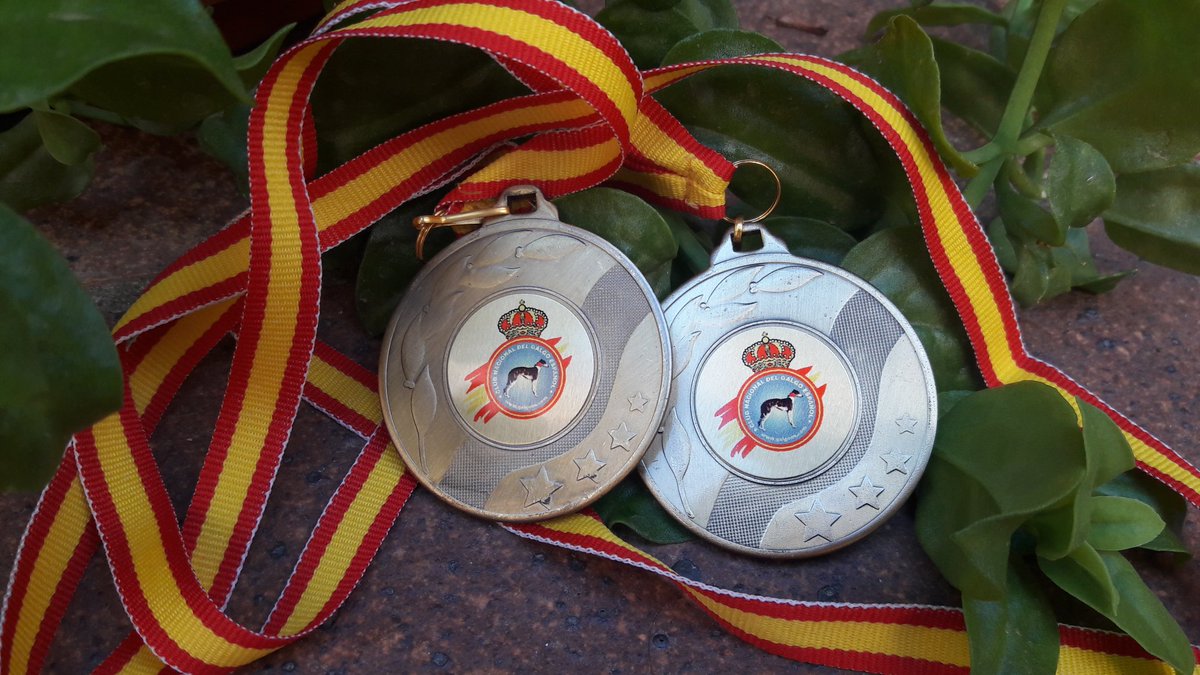 Medallas para los niños que participen en los morfologicoos del Galgo Español. Ataquines y Lobon