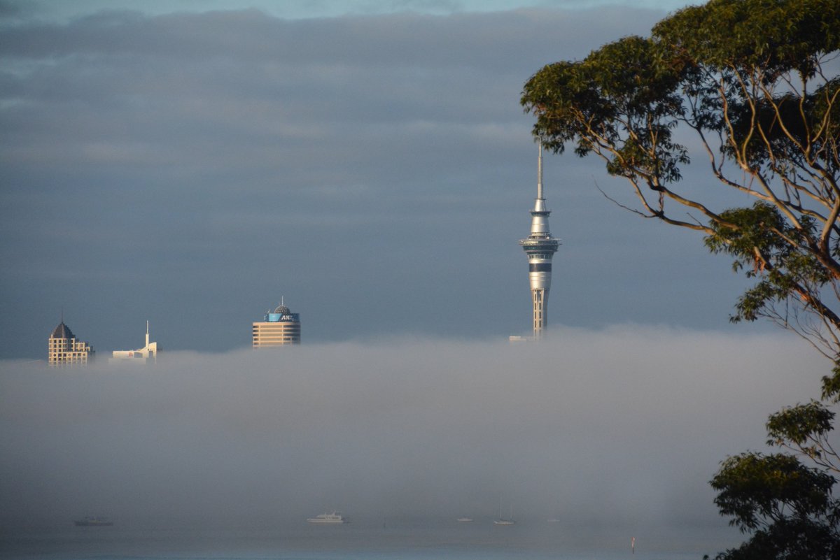 SpringerNature's tweet photo. Welcome to #Auckland - the City of Sails! Beautiful view from the lunch room! @NewAdisInsight #SpringerNatureWorld https://t.co/Y5SQ7NLaV5