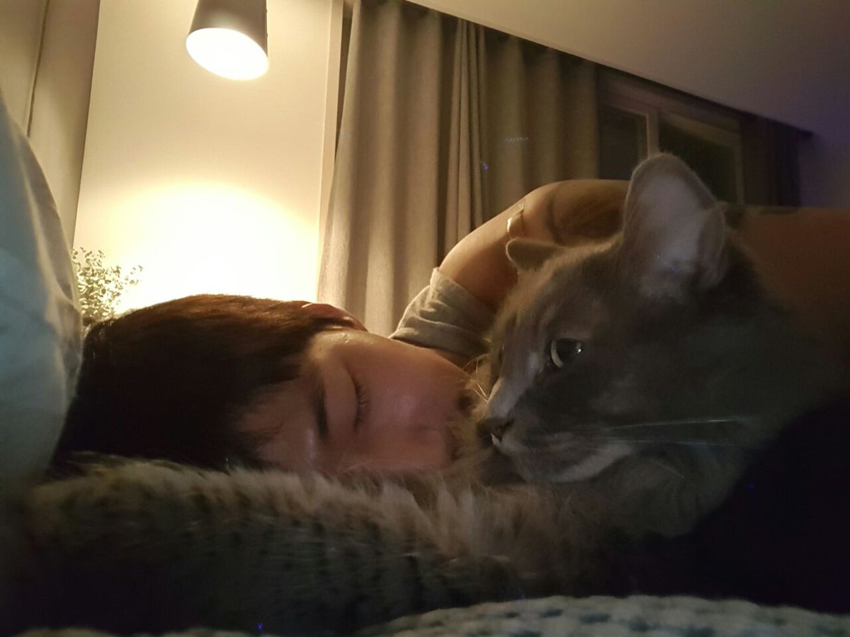 ソンジェリム公式ツイッター Jaelim Song טוויטר