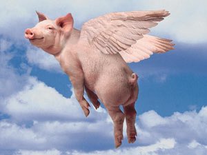 Walter_Dragone's tweet image. Yeah right...#smh #pigsdontfly