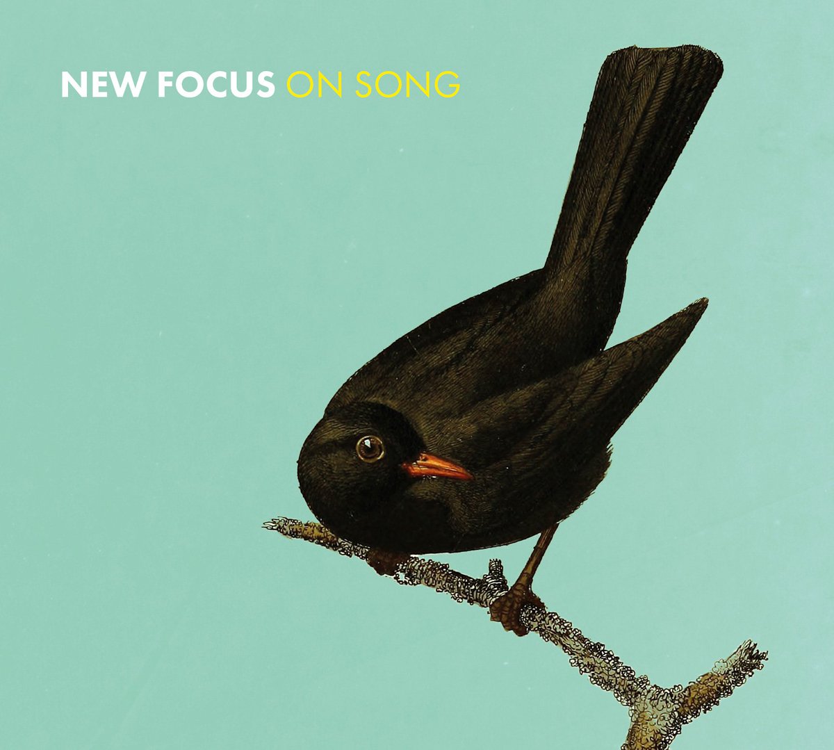 New album from New Focus, featuring <a href="/EuanInfo/">Euan Stevenson</a> <a href="/konwiz/">Konwiz</a> and <a href="/RSNO/">Royal Scottish National Orchestra</a> strings. OUT NOW! goo.gl/ATPe2y