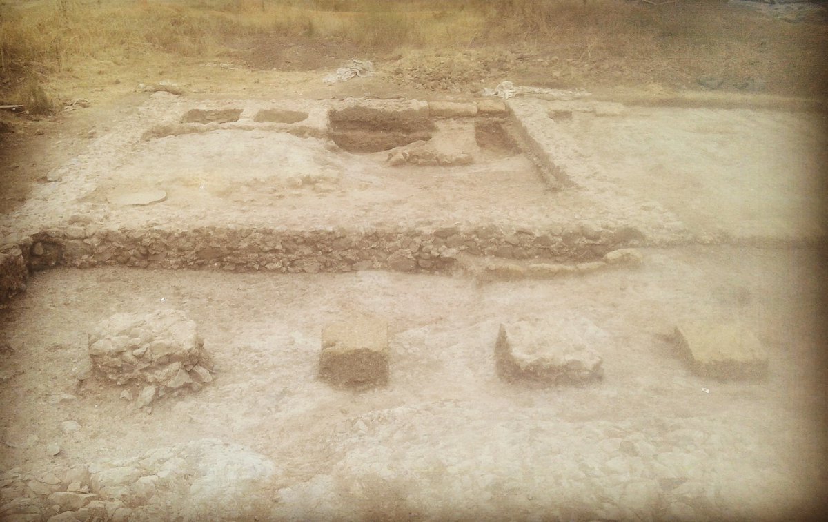 ACTarcheo's tweet photo. Villa Romana Necropoli Longobarda "La Biagiola" - almost at the end #Longobardi #archaeology  #summerschool #letsdig https://t.co/9nRn75w1eI
