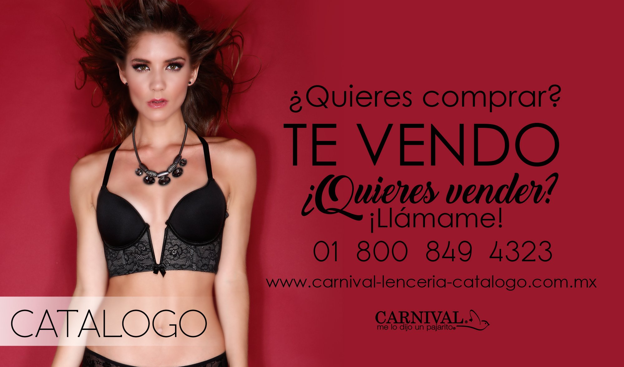 Lencería Carnival ar Twitter: "Te interesa #vender por #Catálogo #Carnival, da link en: https://t.co/aAhLqfwsuR https://t.co/vIzpmteBha" Twitter