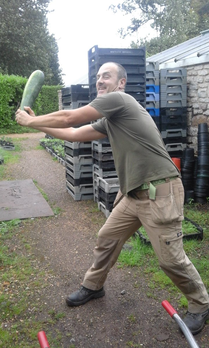 Mandarines tweet media