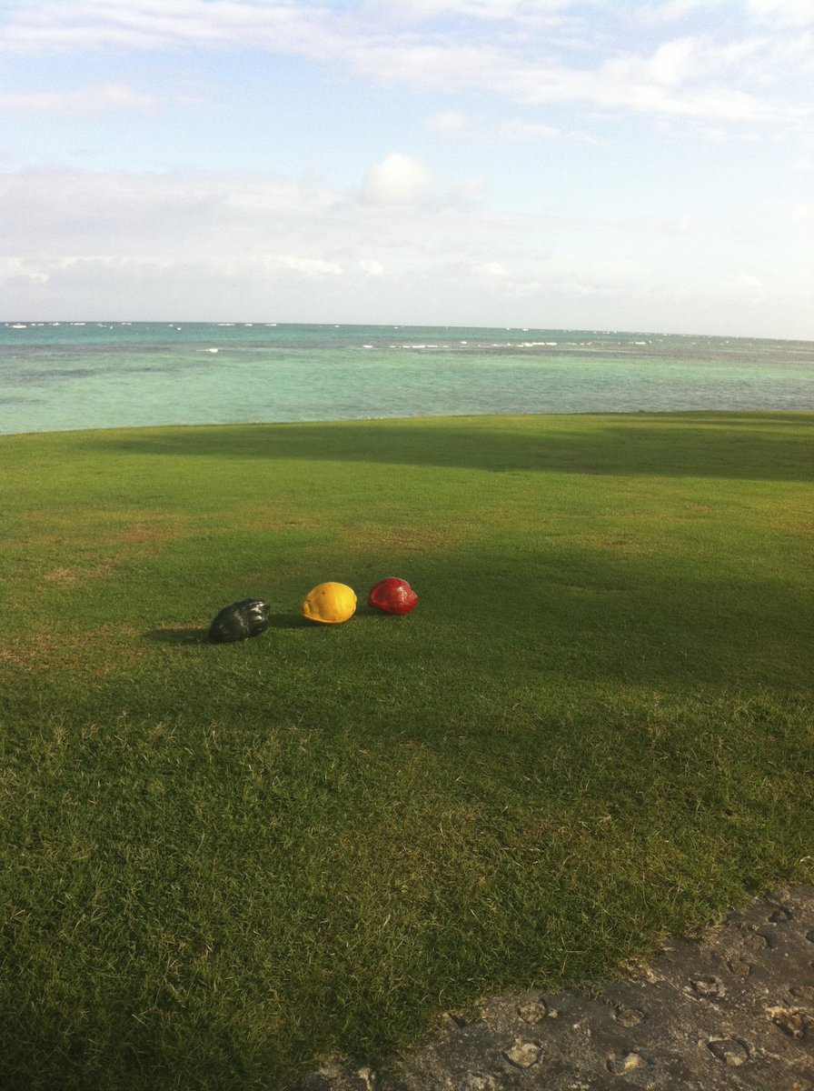 ArnaudLeGrelle's tweet photo. How to support our #Belgian golf team to @Rio2016 ? Just use local ressources on every hole. #GolfToRio https://t.co/9sD6QPlk2Z