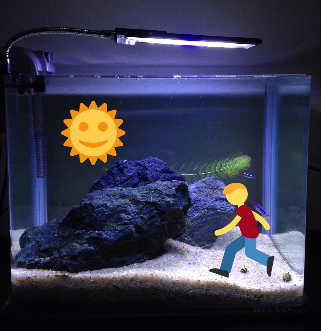 dewahoya's tweet photo. Judul film #TebakAquarium https://t.co/KMVQxqjYxz