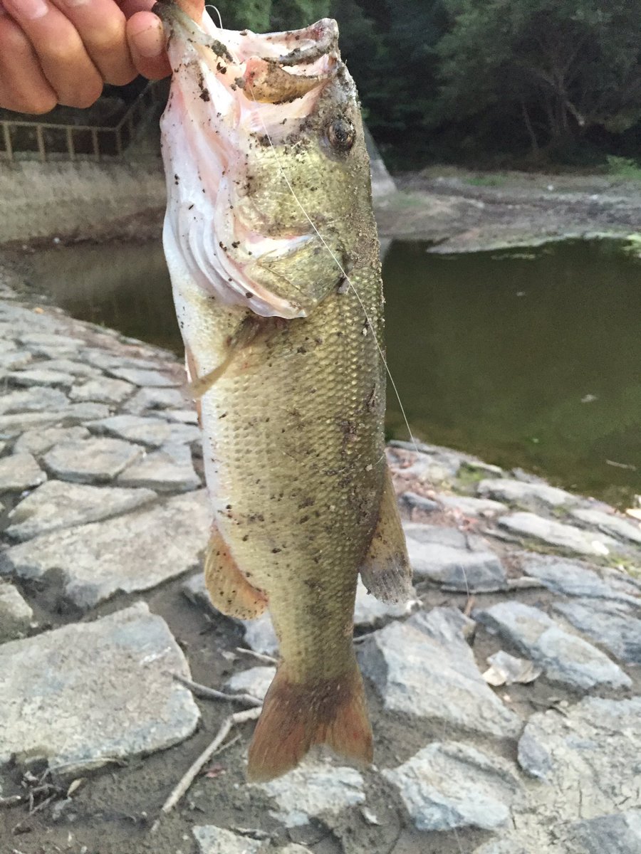 basuxtuli's tweet image. いぇーい！