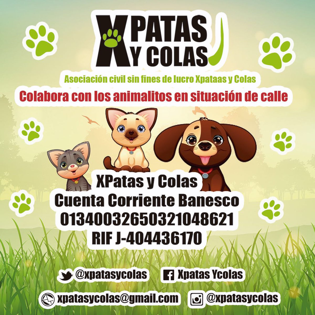 XPatasyColas tweet media