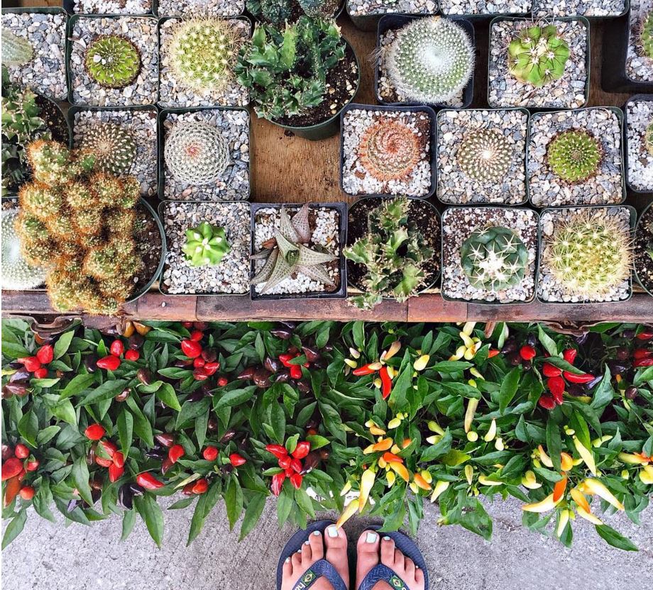 OntarioTravel's tweet image. Incredible places right under our nose ... here's 9 unexpectedly beautiful #Ontario spots: bit.ly/2bDHiuc