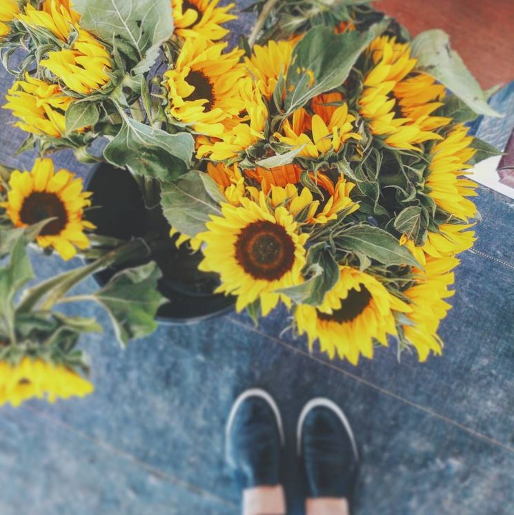 OntarioTravel's tweet image. Incredible places right under our nose ... here's 9 unexpectedly beautiful #Ontario spots: bit.ly/2bDHiuc