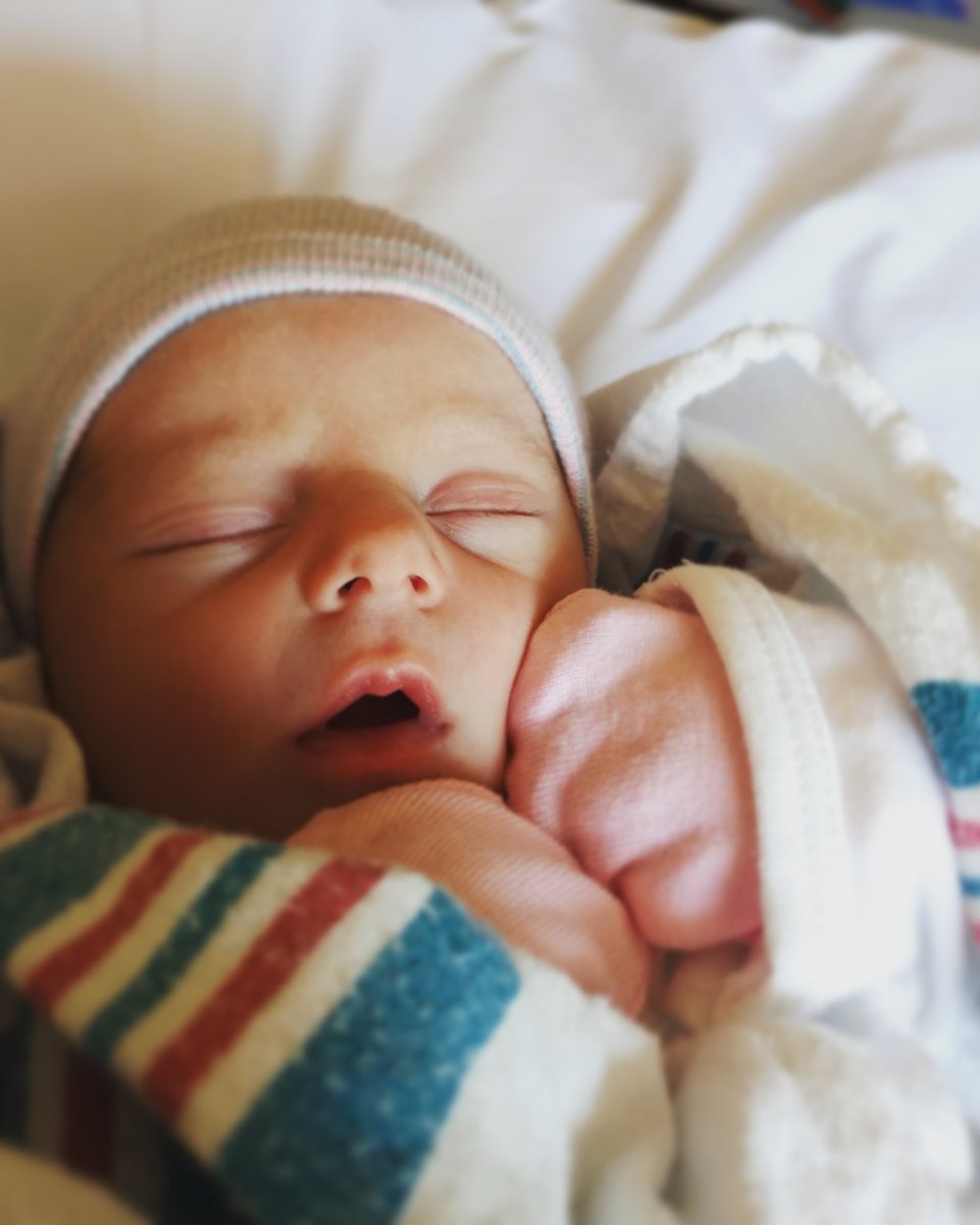 RacecarRacecar0's tweet photo. I'd like to introduce the newest #LittleBite to be added to @MFHockeyClub. #Muffnation meet Evie Lucille Artayet! https://t.co/4nxFz7gPmm