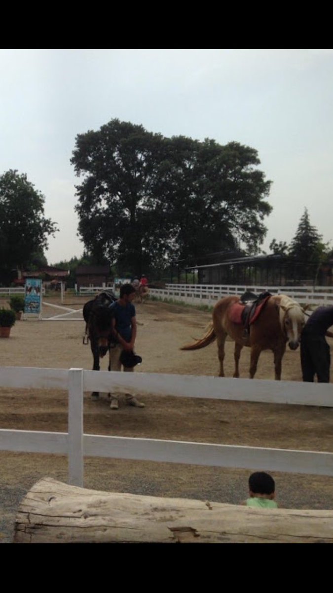 baaishrah's tweet photo. Bursa Haflinger Çiftliği
مضمار خيل مناسب جدا للصغار
#بورصة
#احداثيات_بورصة 

https://t.co/x0kfBhTaWI https://t.co/ZbPvHD3K9M